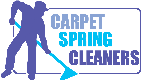 Carpet Spring Cleaners